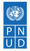 PNUD Academy